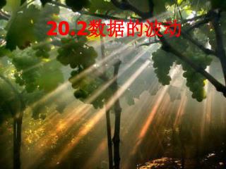 20.2 数据的波动
