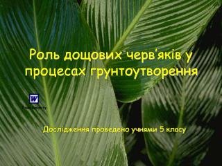 Роль дощових черв ’ яків у процесах грунтоутворення