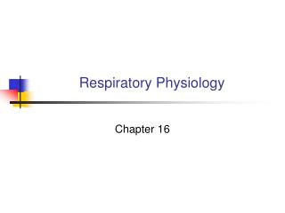 Respiratory Physiology