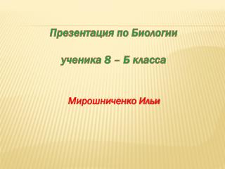 Презентация по Биологии ученика 8 – Б класса