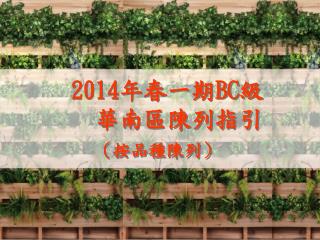 2 014 年春一期 BC 級 華南區陳列指引 （按品種陳列）