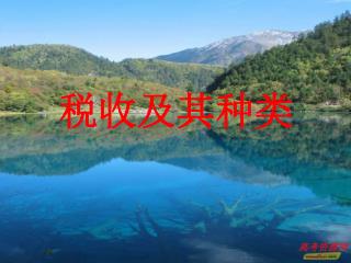 税收及其种类