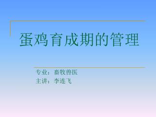 蛋鸡育成期的管理