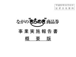 事 業 実 施 報 告 書 概　　要　　版
