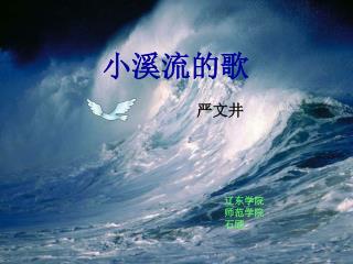 小溪流的歌