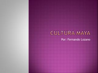 Cultura Maya