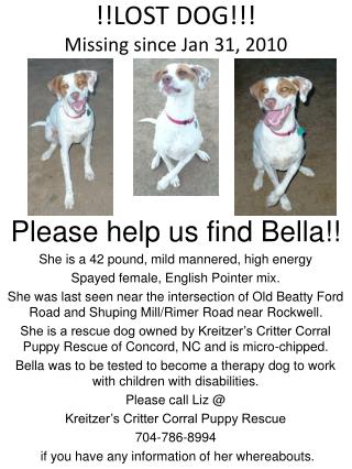 !!LOST DOG!!! Missing since Jan 31, 2010