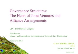Governance Structures: The Heart of Joint Ventures and Alliance Arrangements