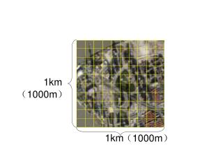 （ 1000m ）