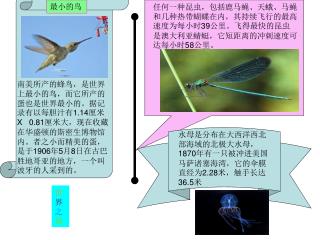 世 界 之 最