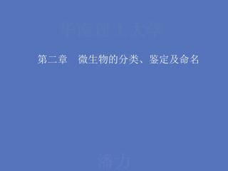 第二章 微生物的分类、鉴定及命名