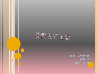 暑假生活記趣