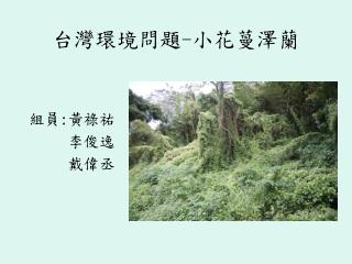 台灣環境問題 - 小花蔓澤蘭