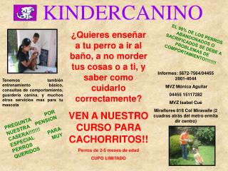 KINDERCANINO