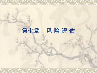 第七章 风 险 评 估