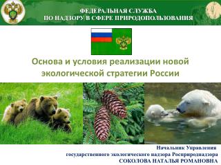 Основа и условия реализации новой экологической стратегии России
