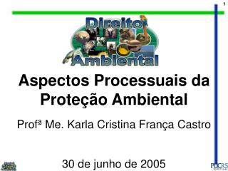 Aspectos Processuais da Proteção Ambiental