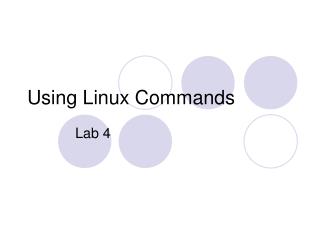 Using Linux Commands