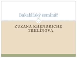 Bakalářský seminář