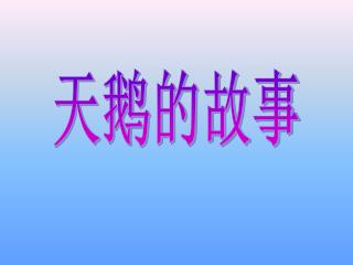 天鹅的故事