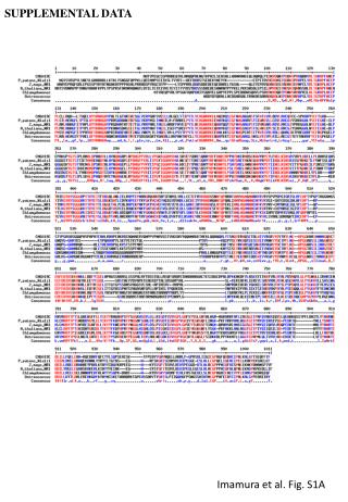 Imamura et al. Fig. S1A