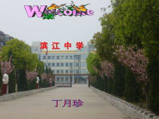 南京市滨江中学 欢迎您光临指导