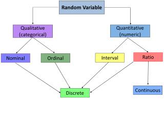 Random Variable