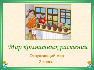 Мир комнатных растений