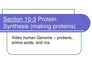 Section 10-3 Protein Synthesis (making proteins)