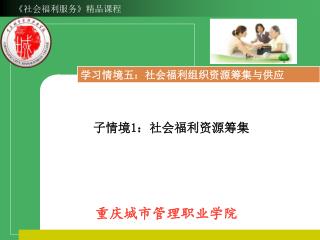 学习情境五：社会福利组织资源筹集与供应