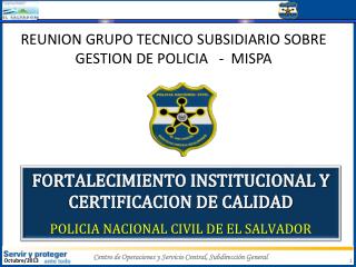 REUNION GRUPO TECNICO SUBSIDIARIO SOBRE GESTION DE POLICIA - MISPA
