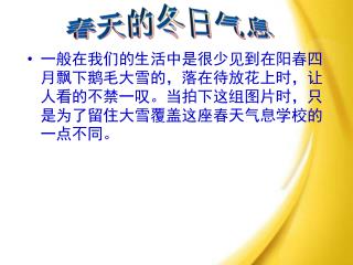 一般在我们的生活中是很少见到在阳春四月飘下鹅毛大雪的，落在待放花上时，让人看的不禁一叹。当拍下这组图片时，只是为了留住大雪覆盖这座春天气息学校的一点不同。