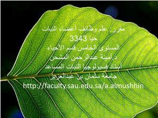 مقرر: علم وظائف أعضاء النبات حيا 3343 المستوى الخامس قسم الأحياء د.أمينة عبدالرحمن المشحن