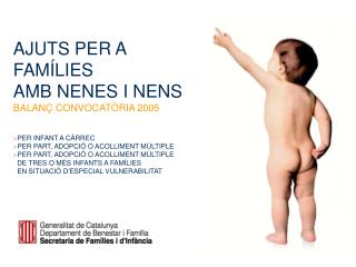 AJUTS PER A FAMÍLIES AMB NENES I NENS BALANÇ CONVOCATÒRIA 2005 &gt; PER INFANT A CÀRREC