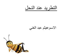 الاسم:هيثم عبد الغني