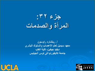 جزء ٣٢: المرأة والصدمات