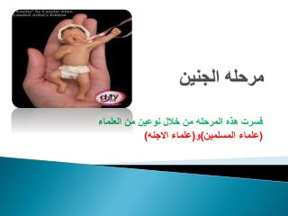 مرحله الجنين