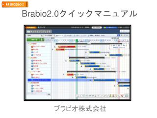 Brabio2.0 クイックマニュアル