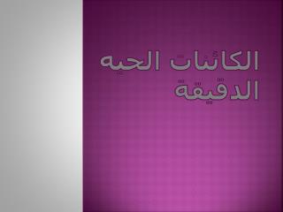 الكائنات الحيه الدقيقة