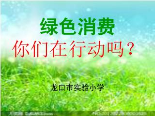 绿色消费 你们在行动吗？ 龙口市实验小学