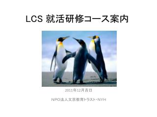 LCS 就活研修コース 案内