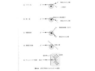 β 線は等方的に放射され、 散乱の影響無視できる。