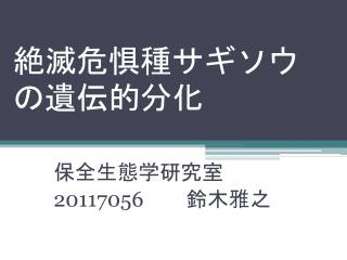 絶滅危惧種サギソウの遺伝的分化