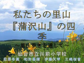 私たちの 里山 『 蒲沢山 』 の 四季 ～里山 歩きを通して～