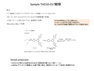Sample THO10-017 観察