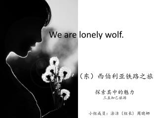 We are lonely wolf.