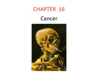 CHAPTER 16