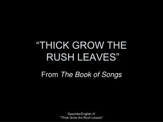 “THICK GROW THE RUSH LEAVES”