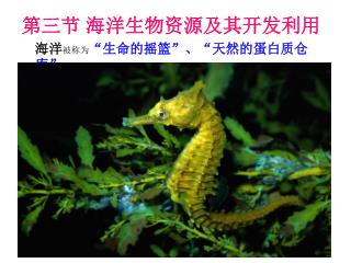 第三节 海洋生物资源及其开发利用