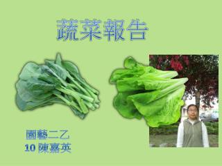 蔬菜報告